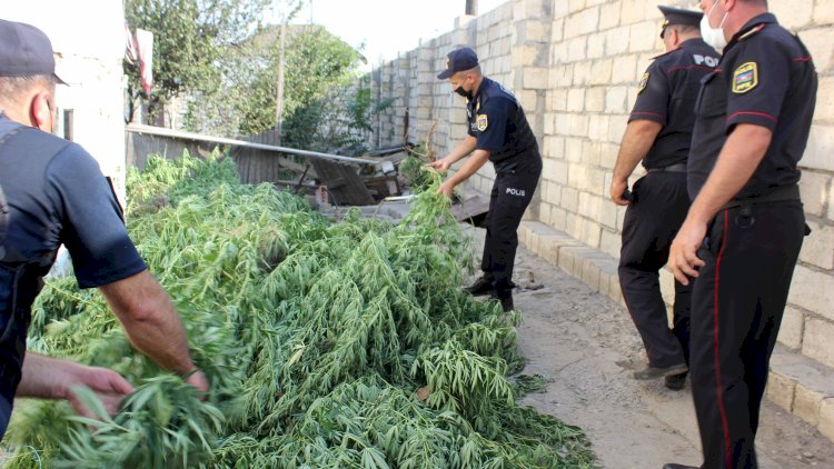    Polis böyük həcmdə narkotik aşkarladı - Foto   