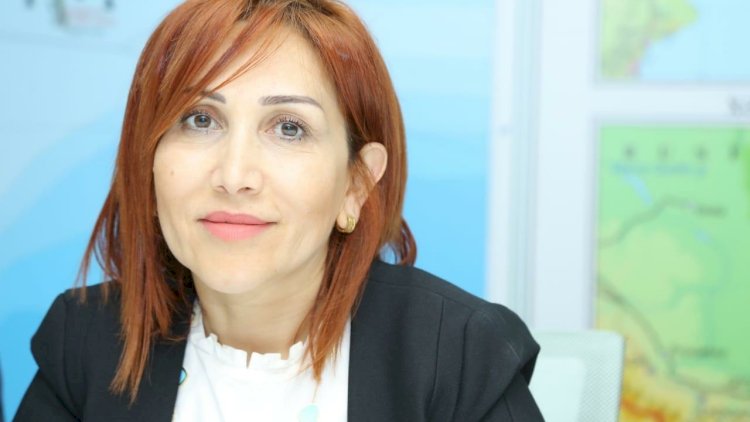    Nazirlik ağacları kəsənlərə qarşı hərəkətə keçdi   