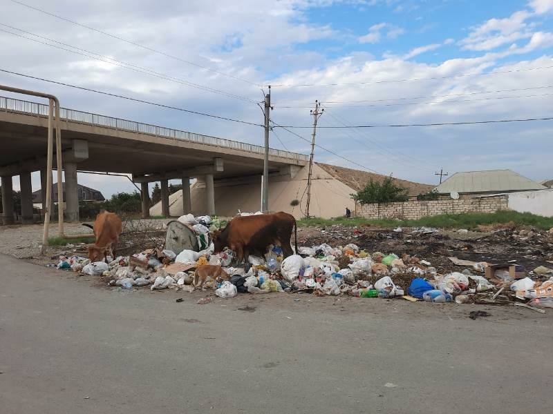 Eldar Əzizov bu məmurları cəzalandırdı – Binəqədidə biabırçılıq  