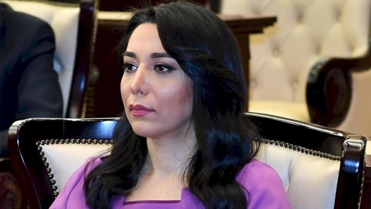    Ombudsman fəaliyyətini dondurub: 8 gündür ki...   