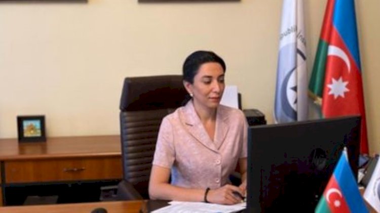    Ombudsman Avropa Şurasının rəsmiləri ilə onlayn görüş keçirdi   