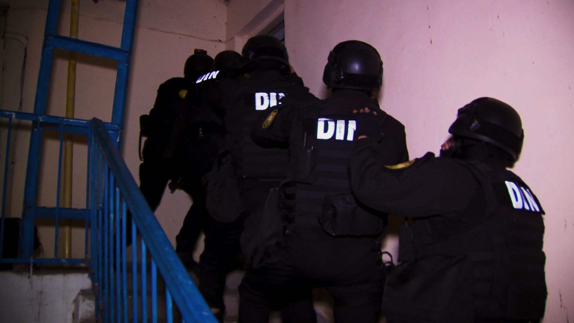 Bərdədə əməliyyat keçirildi, 11 nəfər saxlanıldı  - Fotolar + Video