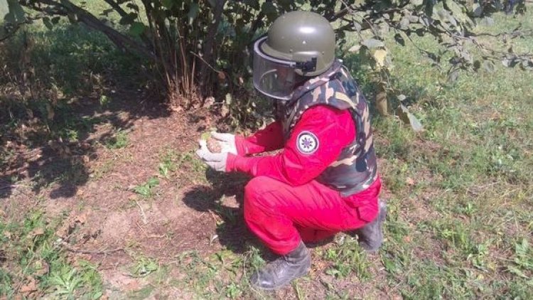    Fındıq bağında qumbara tapıldı - Foto   