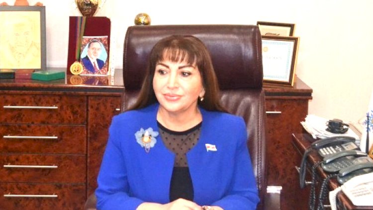    Rayonlara gediş-gəlişlə bağlı deputatdan açıqlama: ““Kimliyindən asılı olmayaraq...”   