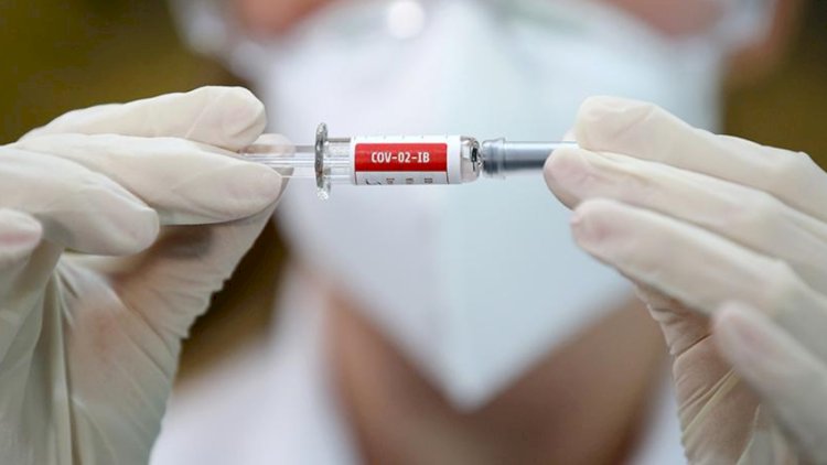    Daha bir ölkə koronavirus peyvəndlərini hazırlamağa başladı   