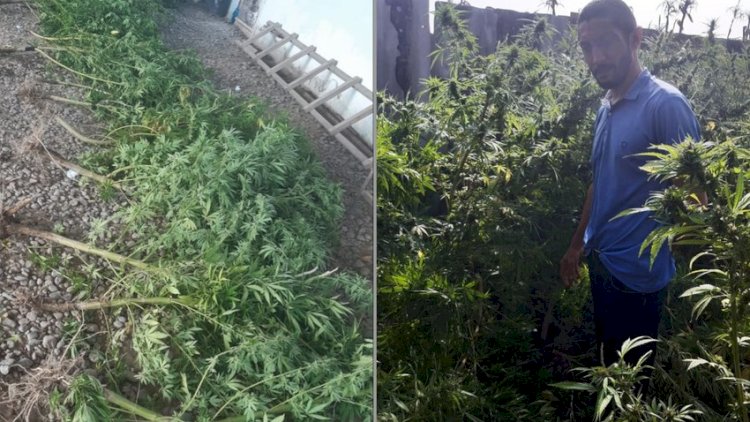    Sabirabad sakinindən narkotik və silah götürüldü   