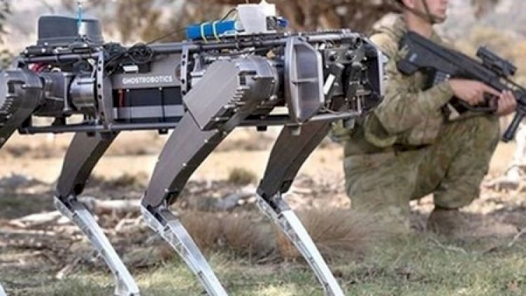    ABŞ robot itlər hazırlayır   