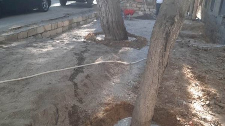    İcra Hakimiyyəti sosial şəbəkədə yayılan görüntülərlə bağlı tədbir gördü - Fotolar   