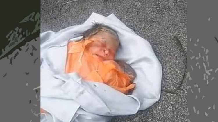    Küçənin ortasında kürəyinə paslı bıçaq saplanmış körpə tapıldı - FOTO   