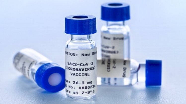    Koronavirus vaksini noyabrda istifadəyə verilə bilər    