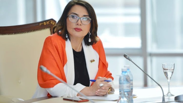    “O təklifi mən irəli sürməmişəm” –   Jalə Əliyeva