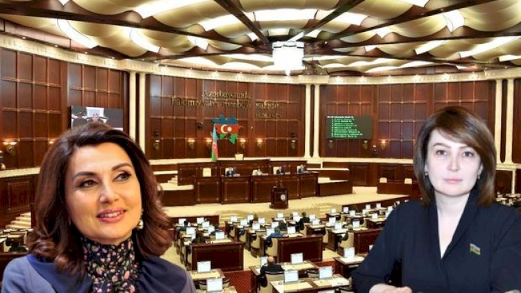    Milli Məclisdən deputatların adını səhv salan jurnalistlərə xəbərdarlıq   