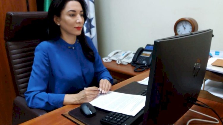    Ombudsman vətəndaş cəmiyyəti institutlarının nümayəndələri ilə görüşdü - Foto   