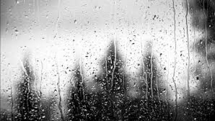    Sabah temperatur 8 dərəcəyədək düşəcək   