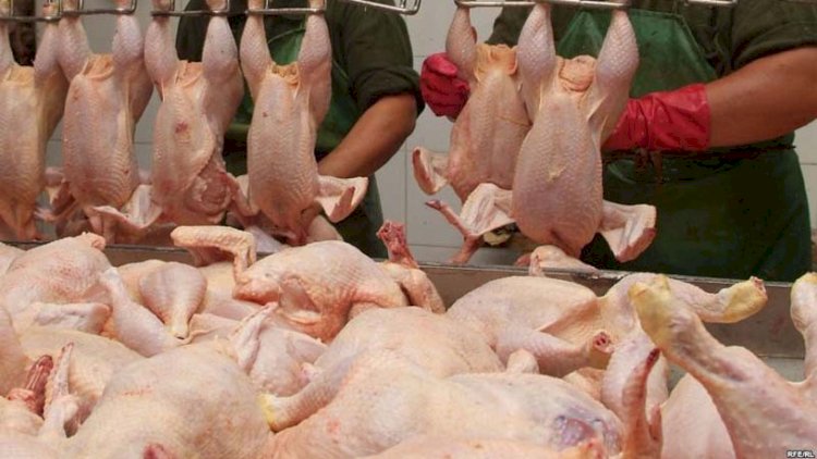    Cəmdəkləri ayaqqabı boyası ilə rəngləyib kənd toyuğu adı ilə satırlar - AQTA   