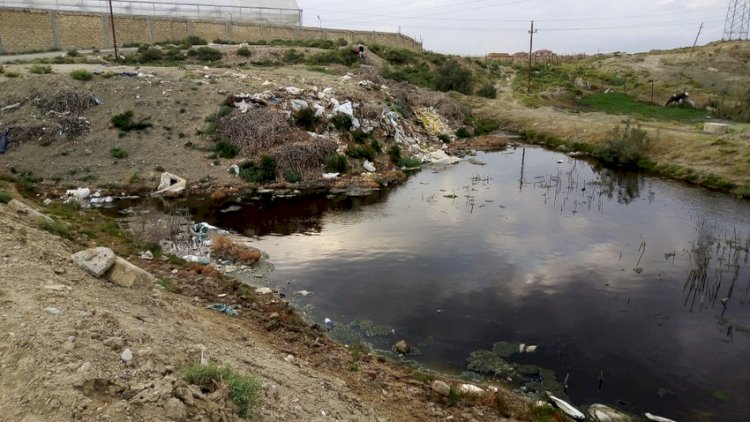    ETSN ətrafa tullantılar atan istixanaya məcburi göstəriş verdi   