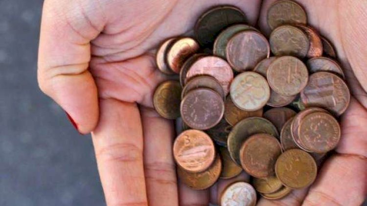    Bakıda zibillikdən 600 kiloqramdan artıq qəpik yığıldı   