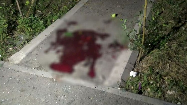    Ermənilər mülki əhaliyə atəş açır:   Tərtərdə iki qardaş həlak oldu, yaralılar var