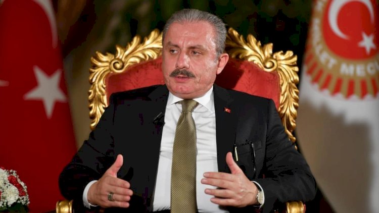    “Türkiyə var qüvvəsi ilə Azərbaycanın yanındadır” - Mustafa Şentop   