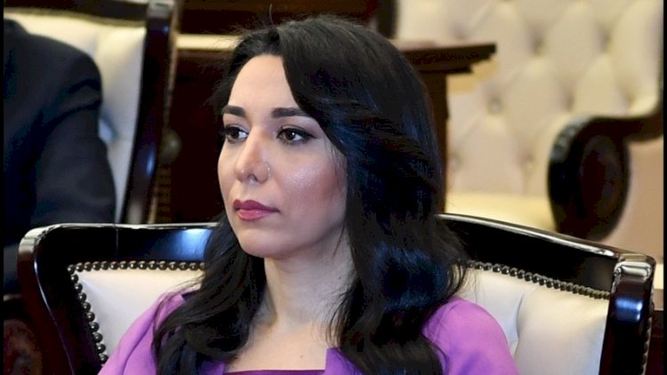    Ombudsman mülki əhalinin atəşə tutulması ilə bağlı etiraz bəyanatı yaydı   