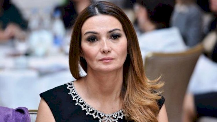    Qənirə Paşayeva deputatlara səsləndi: “Maaşlarınızı Milli Orduya bağışlayın“    