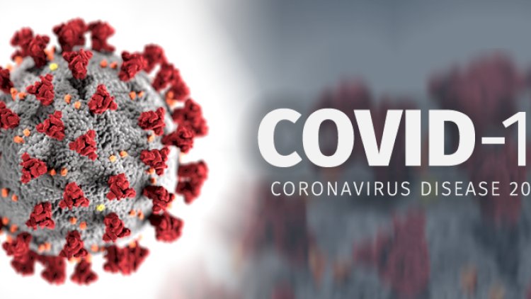    Koronavirus ermənilərin axırına çıxır   - Daha 5 ölü