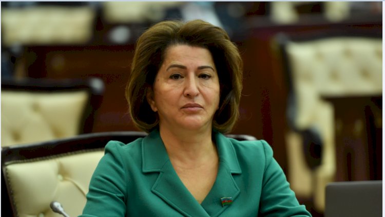    “Bu, tarixdə misli görünməmiş bir alçaqlıqdır” -   Tamam Cəfərova