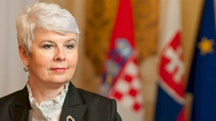    “Bu, bəşəriyyətə qarşı törədilmiş cinayətdir” -   Yadranka Kosor