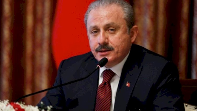    “Ermənistan müharibə cinayəti törədir” - Mustafa Şentop   