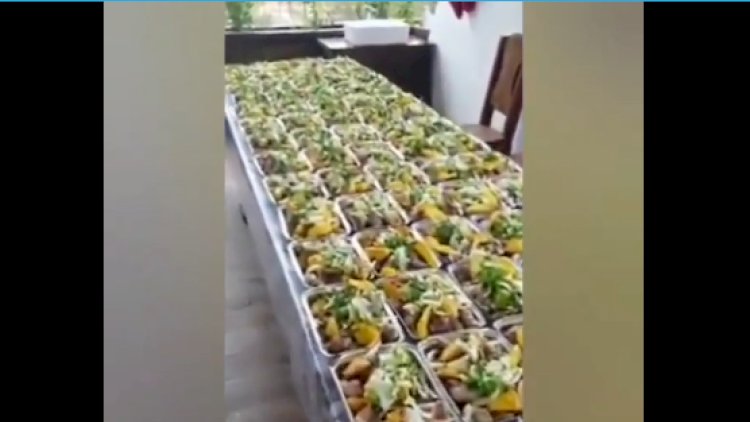    Kəndi işğaldan azad olundu, 60 qurban kəsdi -   Video