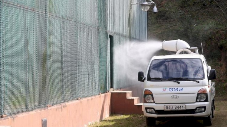    Koreyada quş qripi aşkarlandı   