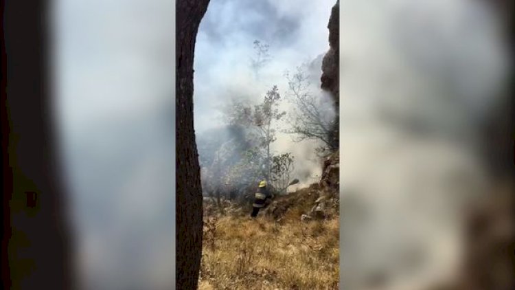    Ermənilərin atəşi nəticəsində Daşkəsəndə meşəlikdə başlayan yanğın söndürüldü   