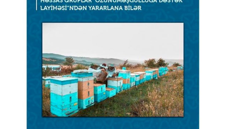    Həssas qruplar üçün daha bir dəstək layihəsi   