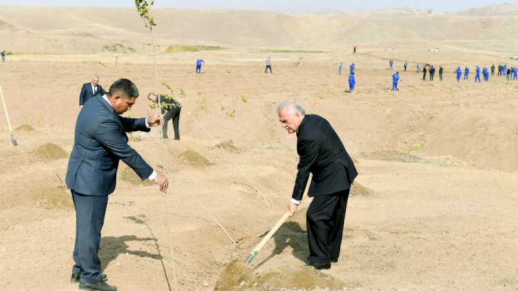    Vasif Talıbov şəhidlərin xatirəsinə ağac əkdi –   Foto