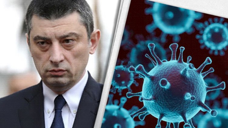    Gürcüstanın baş naziri özünü təcrid etdi   