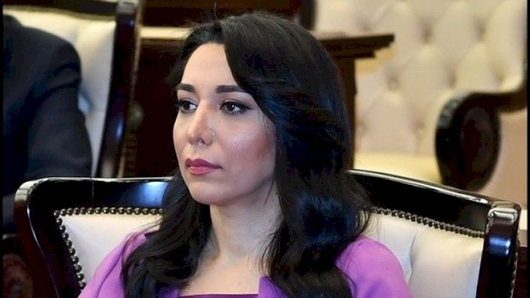    Ombudsman sonuncu erməni təxribatı ilə bağlı beynəlxalq təşkilatlara müraciət etdi   