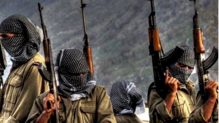    Türkiyədə bu il 1031 terrorçu zərərsizləşdirilib   
