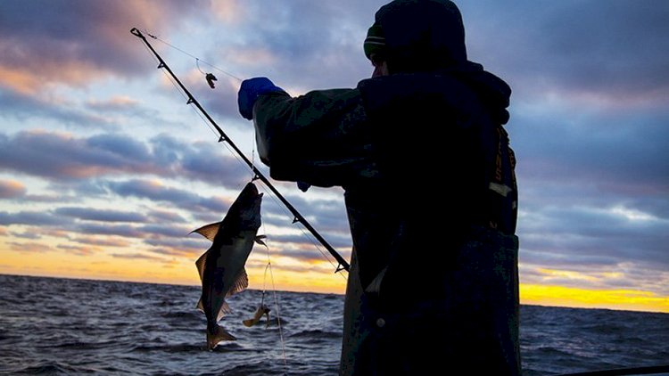    Qanunsuz ov edən şəxs 1000 manat cərimələndi   