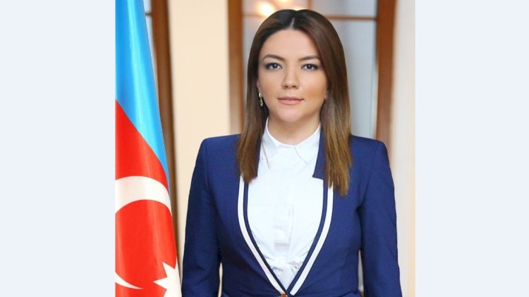    “Hərbçilərin ailələrinə qarşı haqsızlıq etməyin” -   Aygün Əliyeva