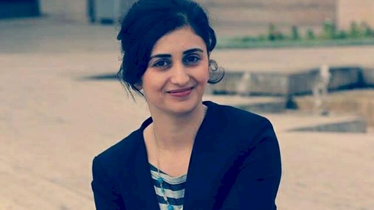    Şuşan Stepanyan istefa verdi:   “Çox məyusam”