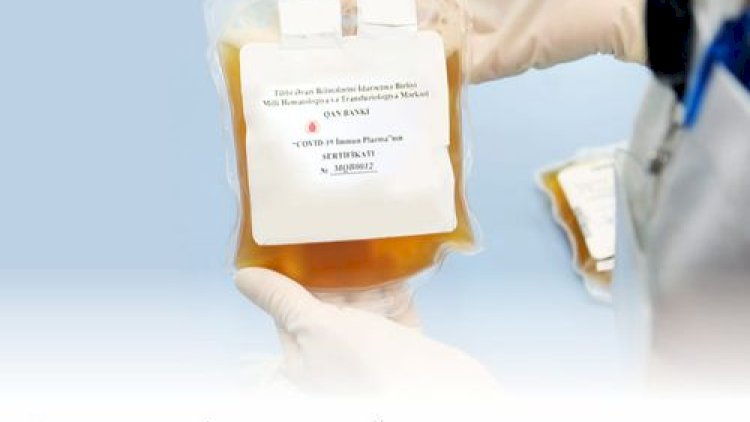    Koronavirusdan sağalmış şəxslər ağır xəstələrə donor ola bilərlər   