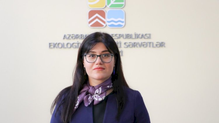    Yeni ekoloji layihəyə start verilir   