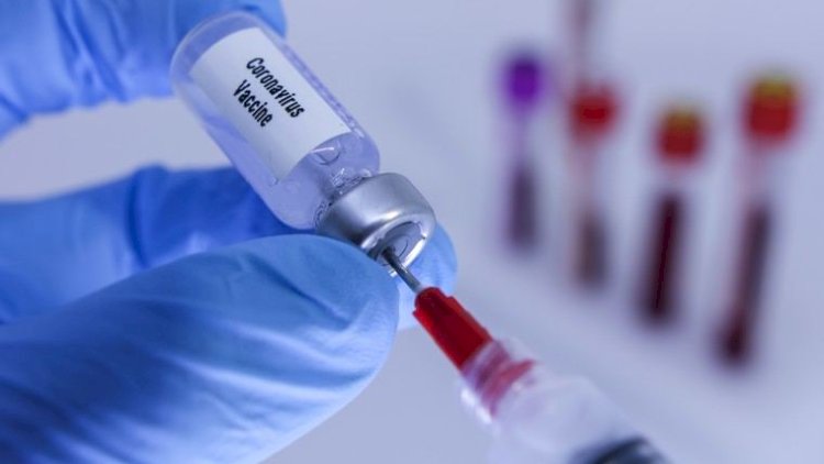    Türkiyədə koronavirus əleyhinə kütləvi peyvəndin tarixi məlum oldu   