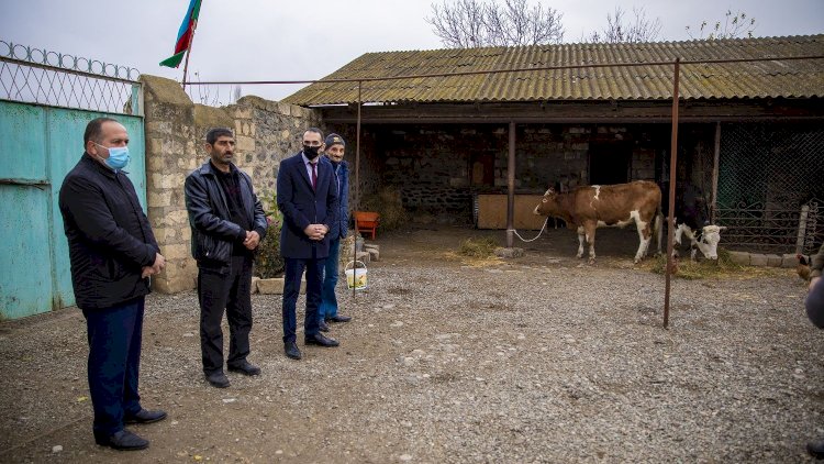    Daha bir qrup vətəndaş üçün kiçik təsərrüfatlar yaradılıb -   Fotolar