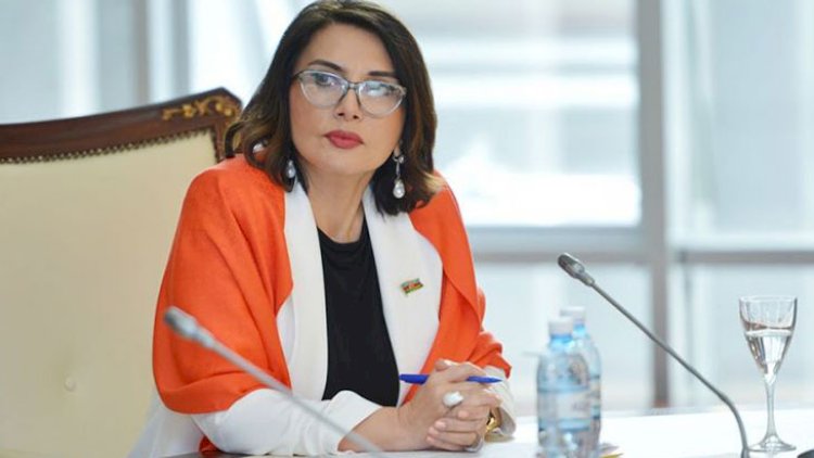    Jalə Əliyevanın təklifi etiraza səbəb oldu: Deputat xadimələri nəyə məcbur edir?    