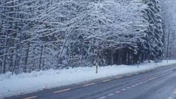   Gürcüstan Ermənistana gedən yolu bağladı   