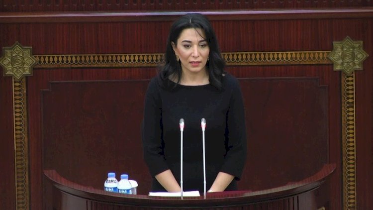   Ombudsman beynəlxalq təşkilatlara müraciət edib   