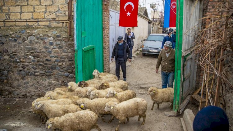    Münaqişədən zərər çəkənlər özünüməşğulluq proqramına cəlb edilib   