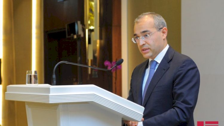    “Martın əvvəlindən ölkədə 80 min iş yeri açılıb“   - Nazir