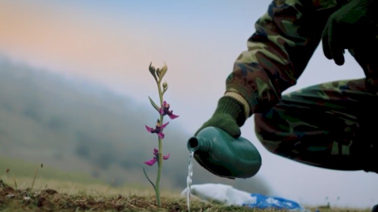    “Xarı bülbül”: dəmir iradə, yenilməzlik... - Video   
